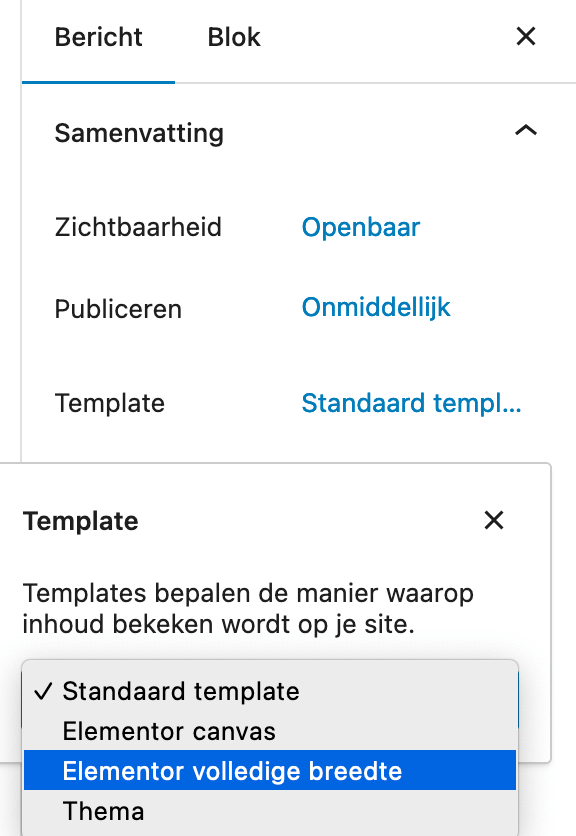 WordPress template kiezen